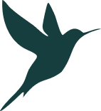 Hummingbird illustration
